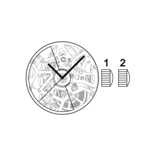 Картинка Механизм SELLITA SW200-1 S C - механизм для часов механический 11 ½, Швейцария