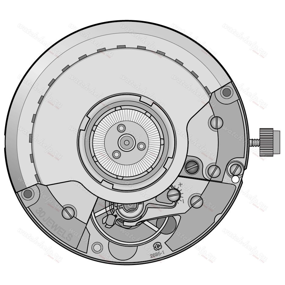 Картинка ETA 2895-1 - механизм для часов механический 11 ½, Швейцария