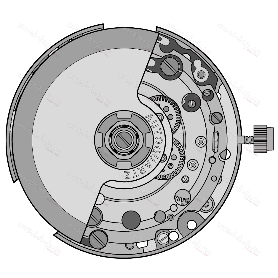 Картинка ETA 204.901 - механизм для часов автокварц 8 ¾, Швейцария