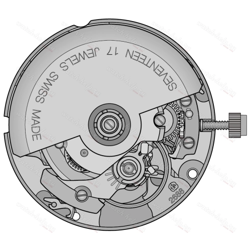 Картинка ETA 2688 - механизм для часов механический 8 ¾, Швейцария