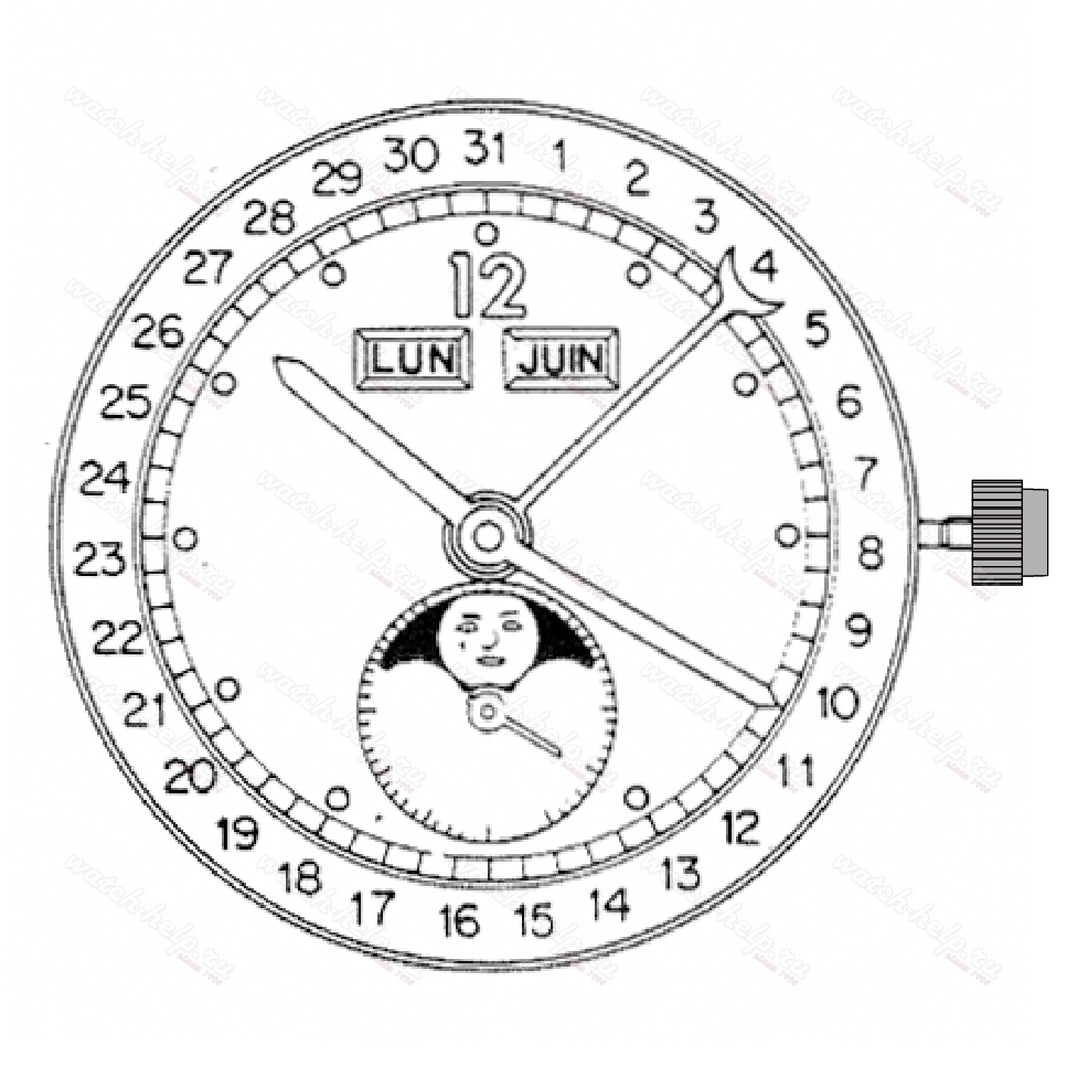 Картинка ETA 255.481 - механизм для часов кварцевый 10 ½, Швейцария
